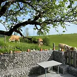 Apartment Naturnahe Familienwohnung Ruschegg