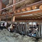 Naturnahe Familienwohnung *