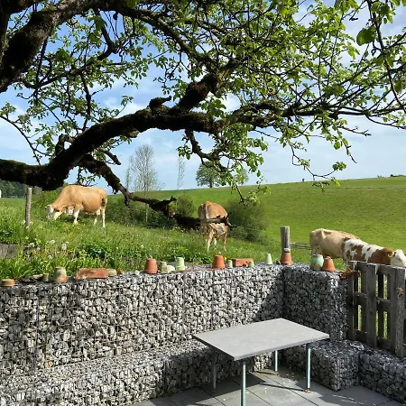 Apartamento Naturnahe Familienwohnung Ruschegg