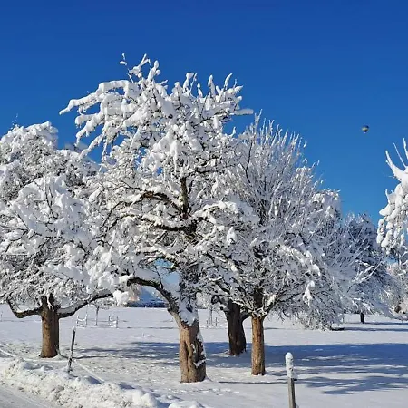 Naturnahe Familienwohnung *