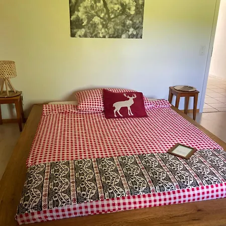 Apartment Naturnahe Familienwohnung Ruschegg
