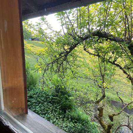 Naturnahe Familienwohnung