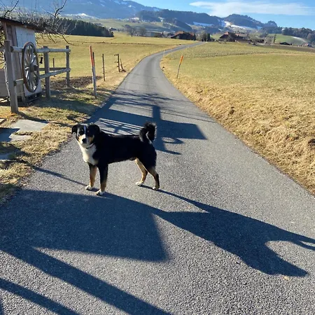 Apartment Naturnahe Familienwohnung