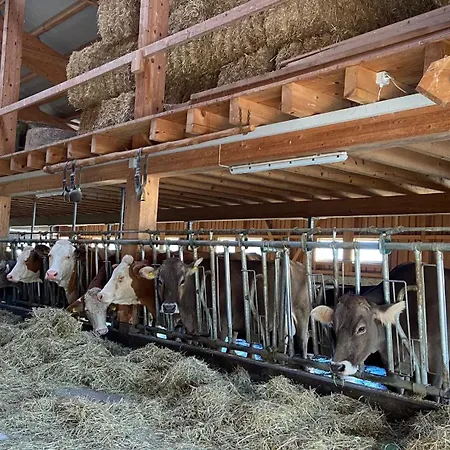 Naturnahe Familienwohnung *