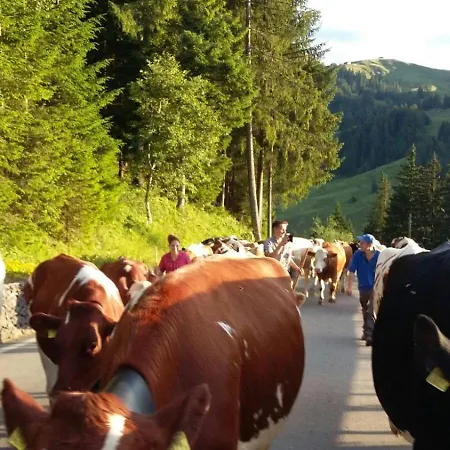 Апартаменты Naturnahe Familienwohnung Ruschegg