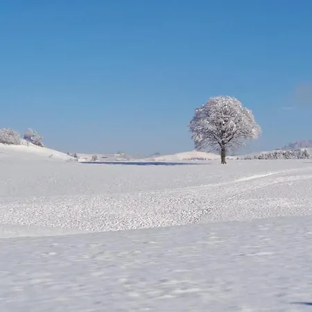 Naturnahe Familienwohnung * Ruschegg