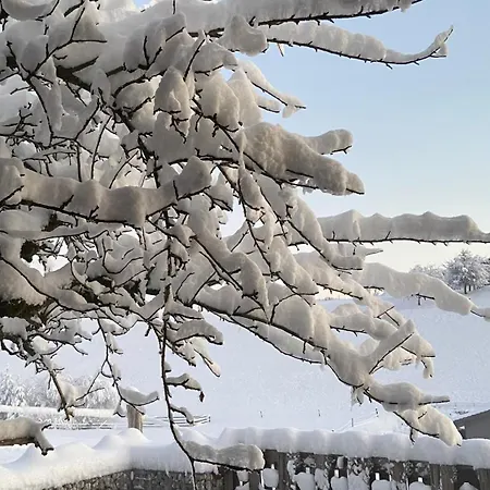 Naturnahe Familienwohnung