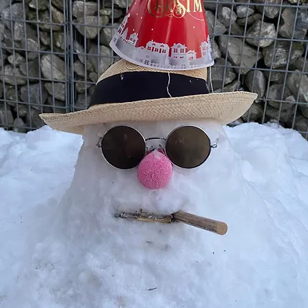 Naturnahe Familienwohnung Apartment Ruschegg