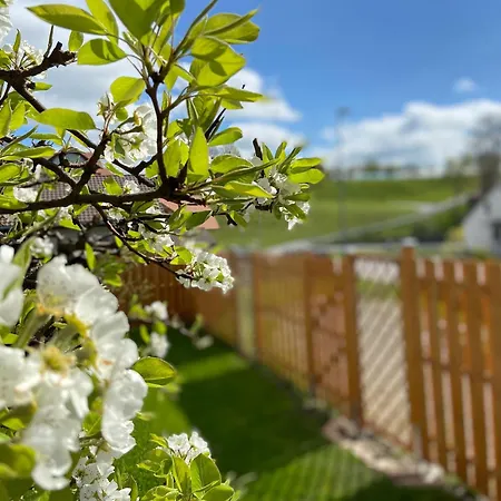 Апартаменты Naturnahe Familienwohnung