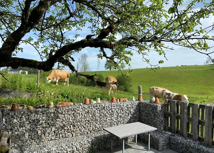Appartement Naturnahe Familienwohnung Ruschegg