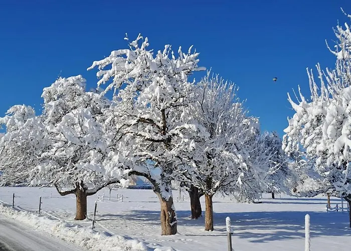 Naturnahe Familienwohnung *