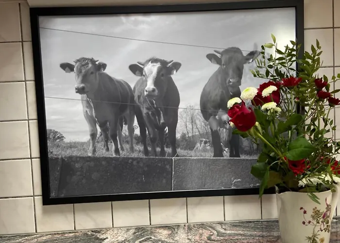 Naturnahe Familienwohnung Appartement