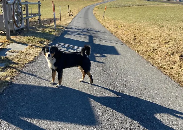 Appartement Naturnahe Familienwohnung