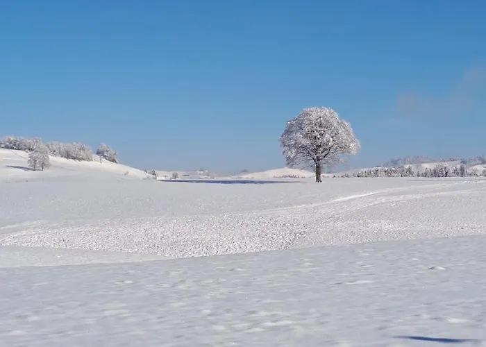 Naturnahe Familienwohnung * Ruschegg